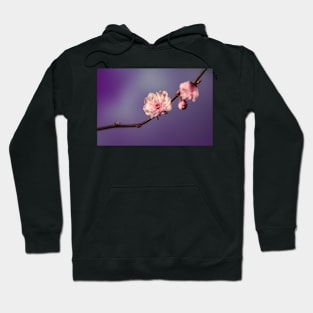 FLOWERS, NATURE’S Fashion Models Hoodie